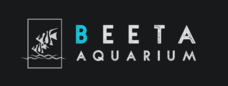BeetaAquarium Logo-Case Study Grow Difitally