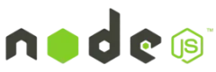 Node.js custom web application development